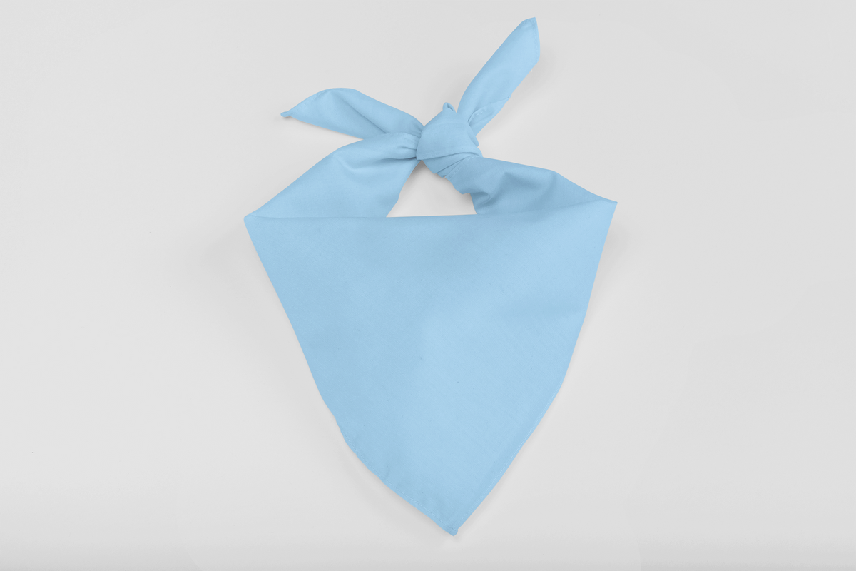Bandana-Light Blue