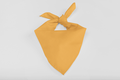 Bandana-Orange
