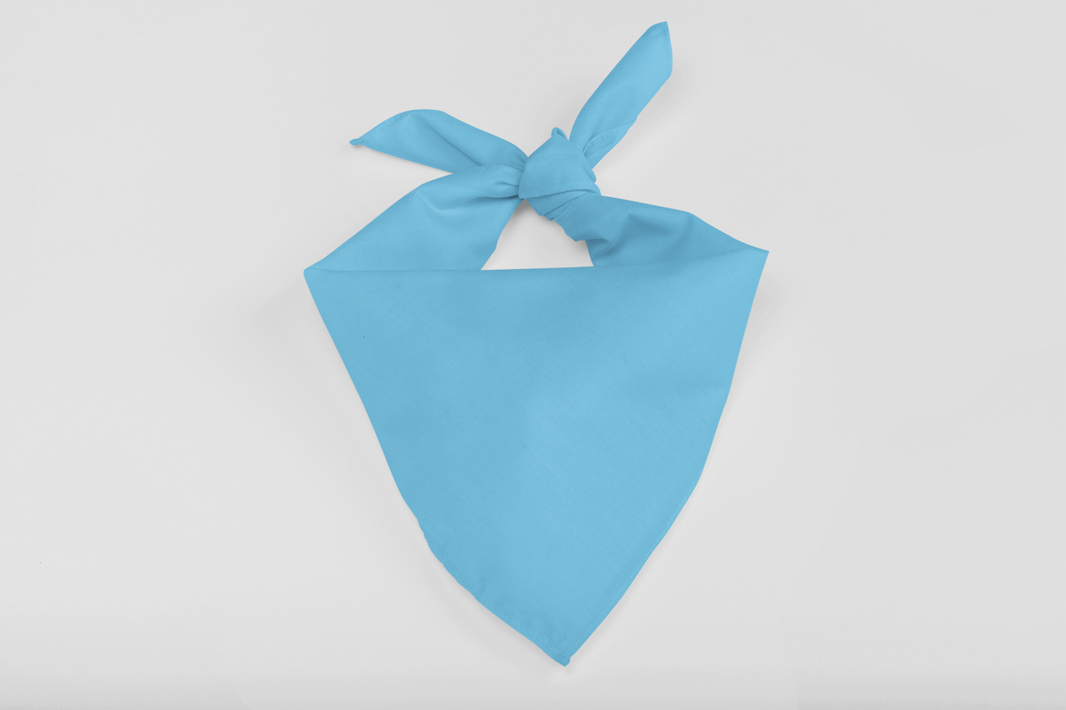 Bandana-Sky Blue
